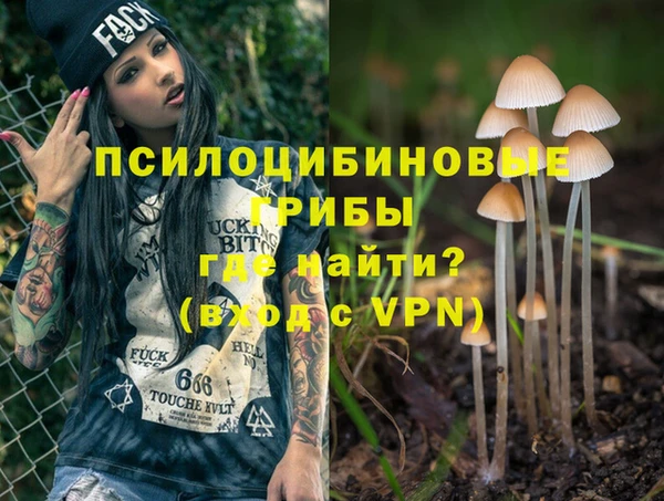 экстази Алексин