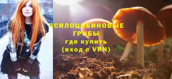 экстази Алексин